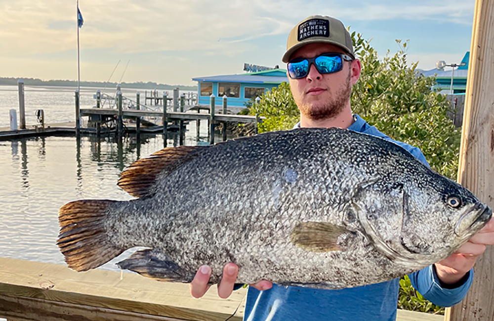 image of a fishing charter guest holding a Atlantic tripletail that was caught while on a fishing charter with Changes 'N latitude